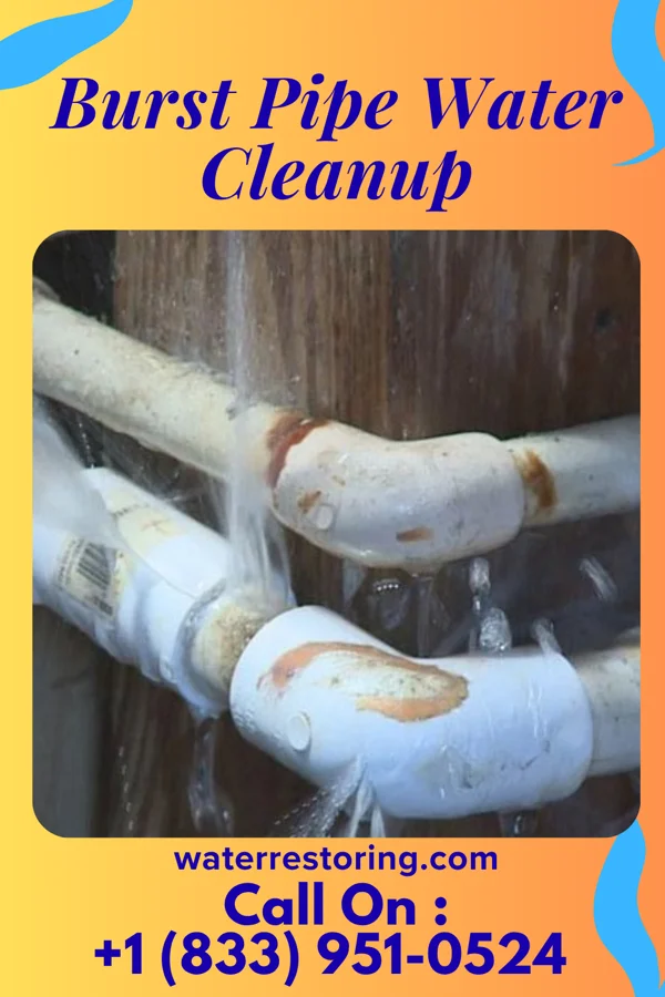 Burst Pipe Water Cleanup in Eagan, MN