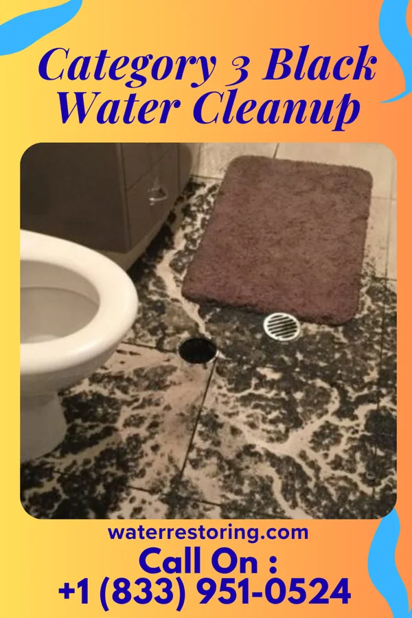 Category 3 Black Water Cleanup in Eagan, MN