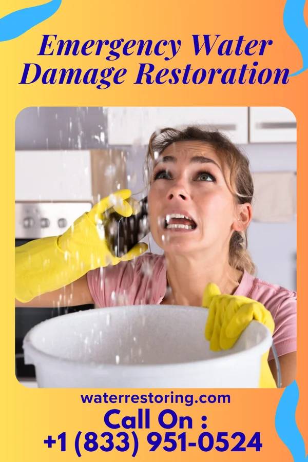 Emergency Water Damage Restoration in Eagan, MN